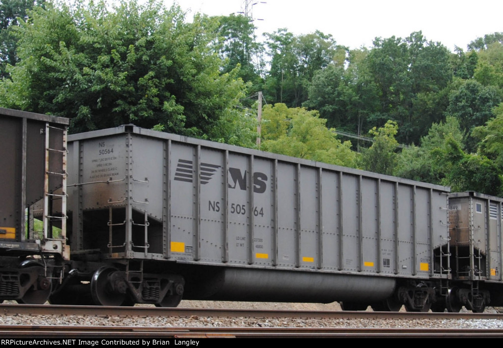 50564